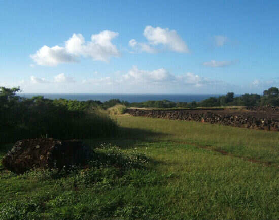 Pu'u o Mahuka Heiau State Historic Site