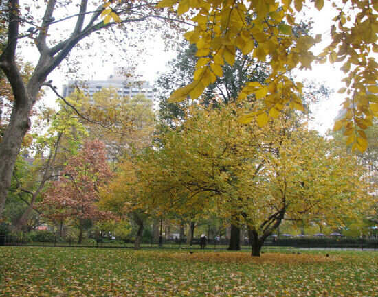 Madison Square Park
