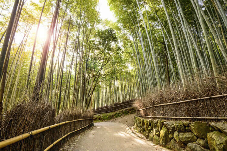 Kyoto, Japan