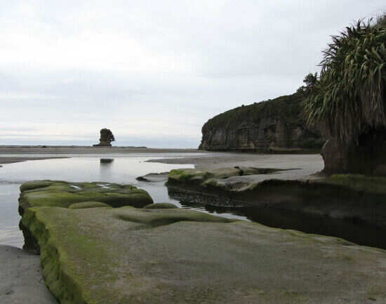 Bullock Creek to Pororari River