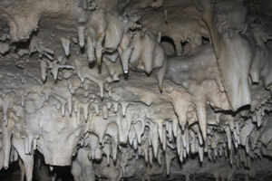 Fox River Caves
