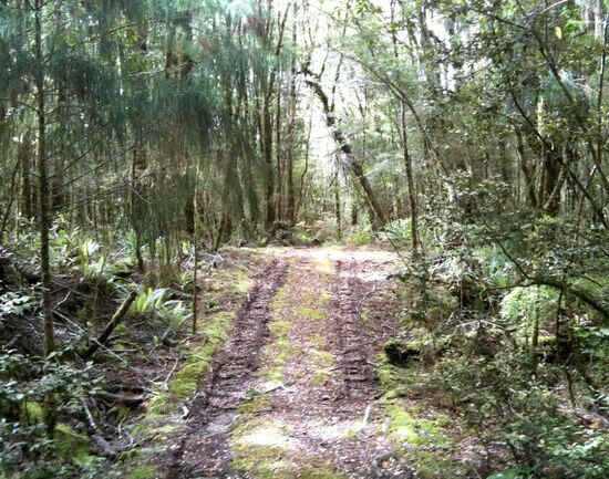 Tiropahi Track