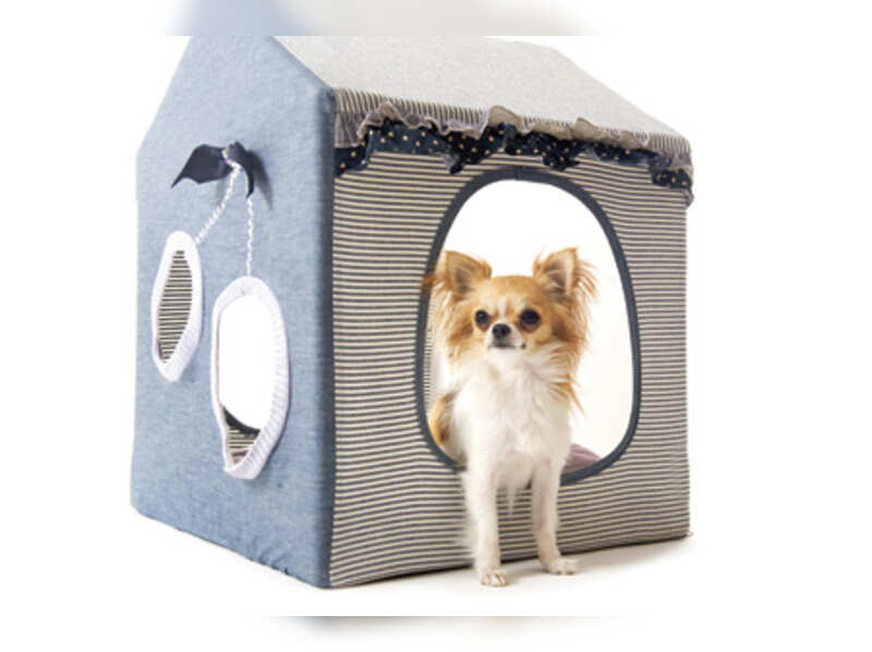 Kennels and carriers for your pooch Times of India