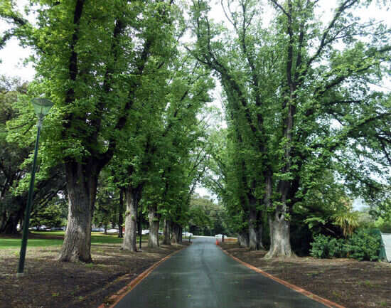 Fitzroy Gardens