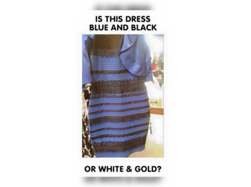 The Dress debate freaks out the internet. - Times of India