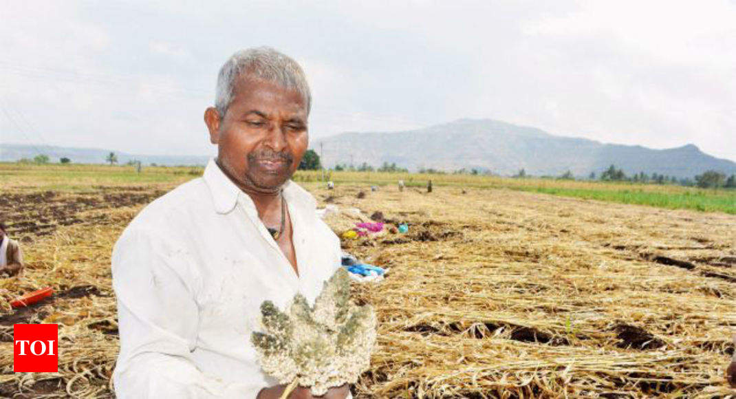 A Farmer Deposits Rs 1000