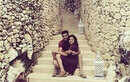 Drashti Dhami&rsquo;s wedding celebrations