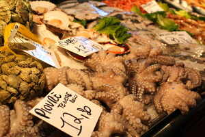 Foodie Venice