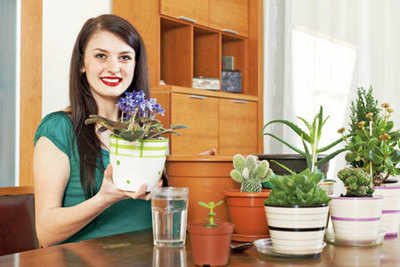 Here's how to do indoor gardening