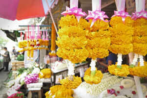 Flower Market