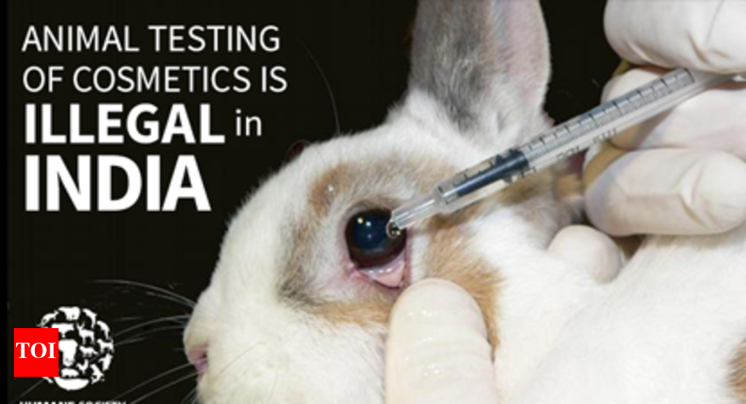 Helpline against animal testing for cosmetics Mumbai News Times of