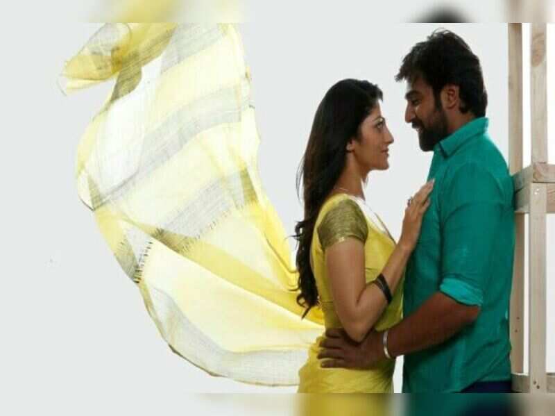 Chiranjeevi and Radhika rake in Rs 3 crore! Kannada Movie News Times of India