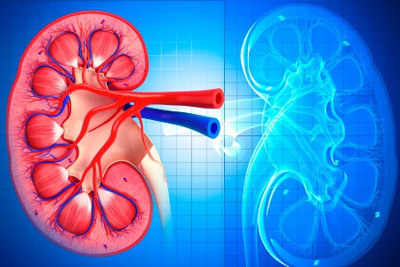 Here's why you should not ignore kidney problems