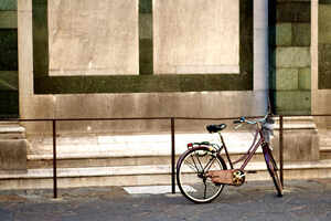 Bicycle Rental