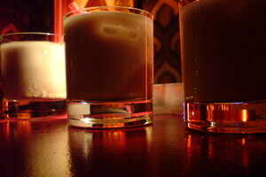 Bar Fly