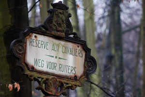 Bois de la Cambre & Foret de Soignes