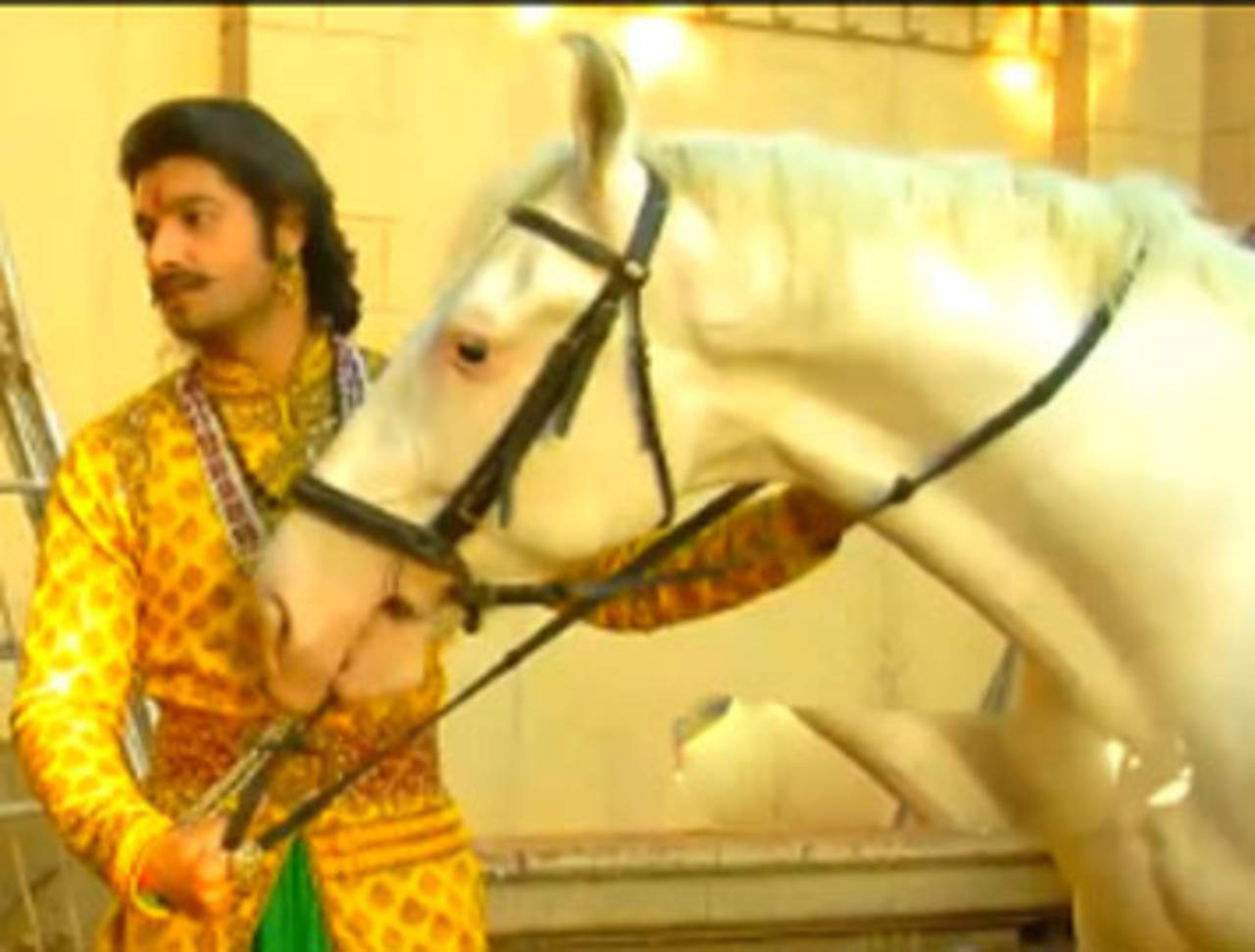Sharad Malhotra aka Maharana Pratap will buy horse Chetak | TV - Times of  India Videos