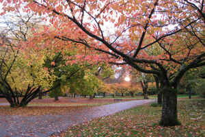 Top attractions in Vancouver