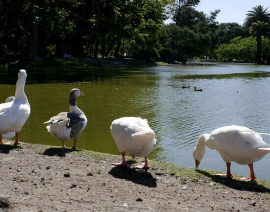 Exploring the great outdoors in Buenos Aires