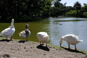 Exploring the great outdoors in Buenos Aires