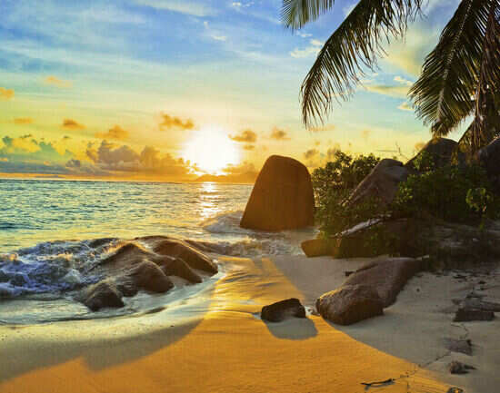 5 places to see birds and wildlife in Seychelles