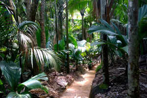 Vallee De Mai