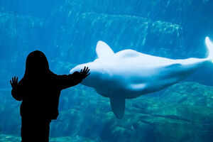 Vancouver Aquarium