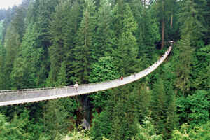 Capilano Suspension Bridge Park