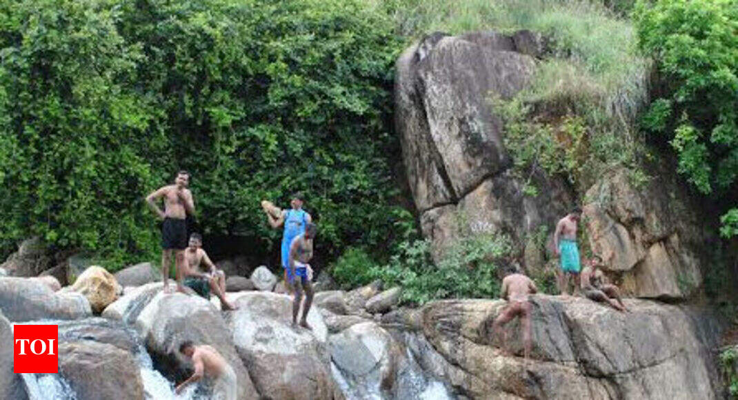 Forest officials curb liquor consumption in Grizzled Squirrel Sanctuary