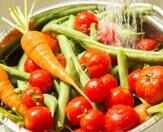 5 golden rules of food safety
