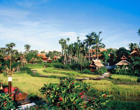Dhara Dhevi