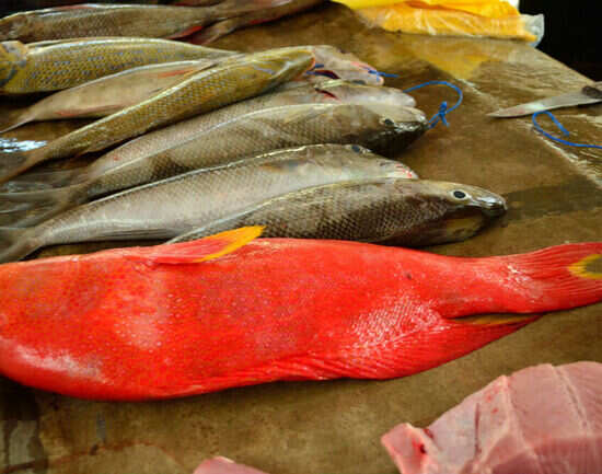 Markets along Beau Vallon