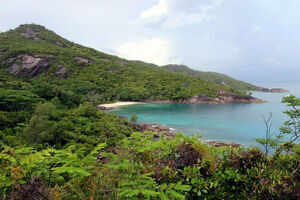 Trek to Anse Major
Trek to Anse Major