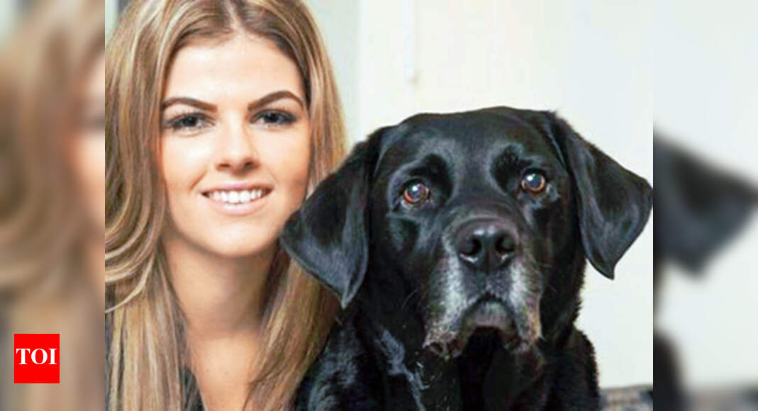 Heroic pets who saved their owners’ lives - Times of India