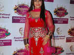 Punjabi Cultural Heritage Awards