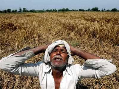 Unseasonal rain: 601 farmer suicides in Maharashra in just 3 months