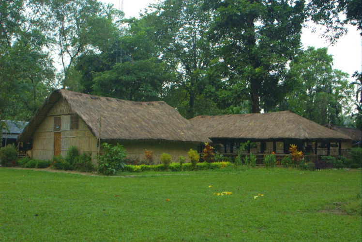 Nameri Eco Camp, Nameri National Park