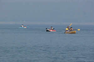 Rafting down the Bhadra