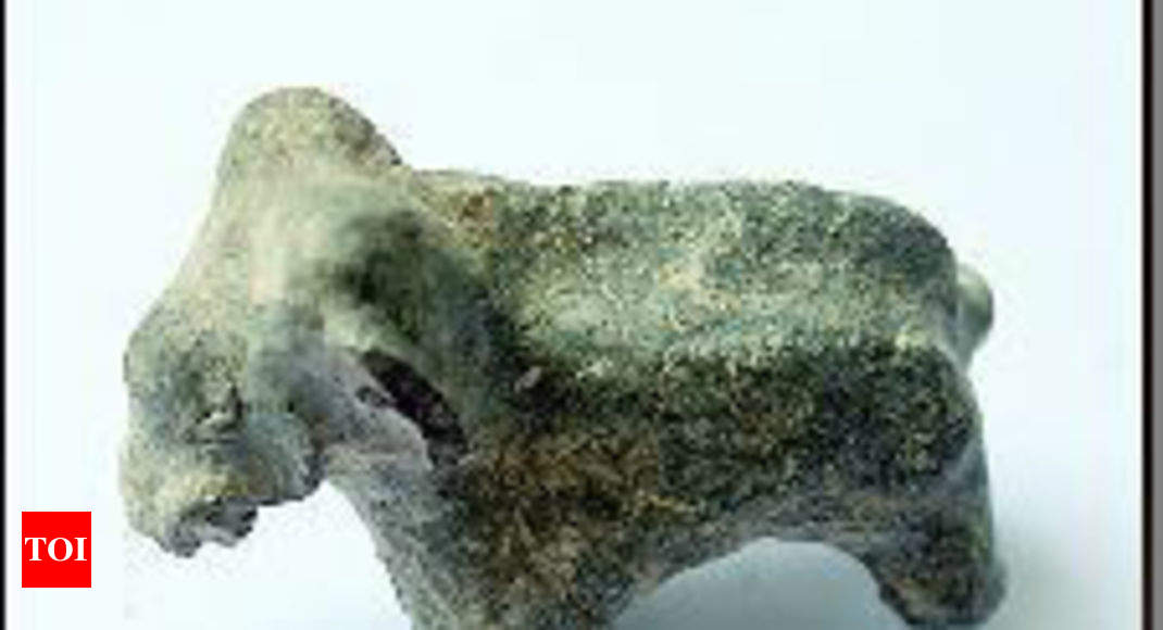 Ancient figurine of African elephant unearthed at Tarighat | Raipur ...