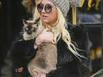 Celebs & their pampered pets