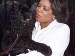 Celebs & their pampered pets