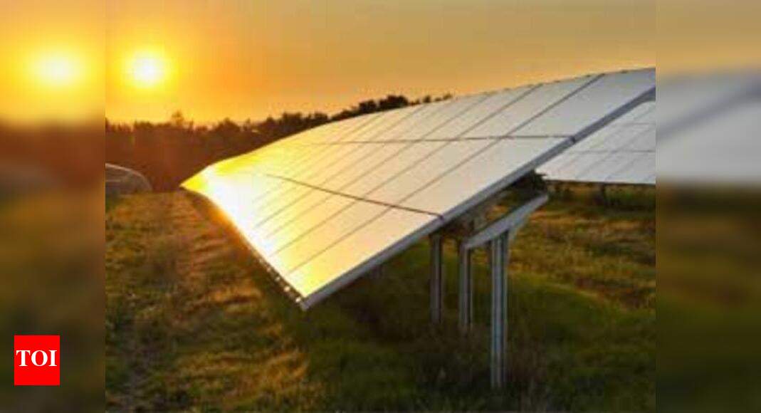 World s Biggest Solar Power Project At Rewa Gets MP Cabinet Nod Times