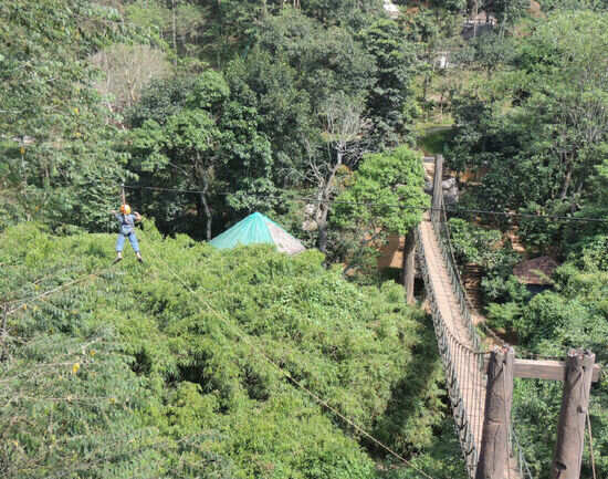 Pazhassi Raja