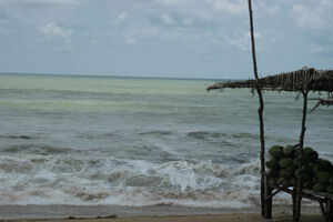 Chandrabhaga Beach