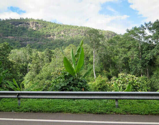 Doi Inthanon