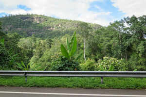 Doi Inthanon