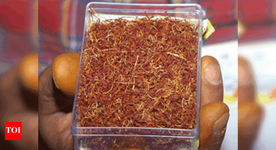 In a first, saffron blooms in desert field Times of India