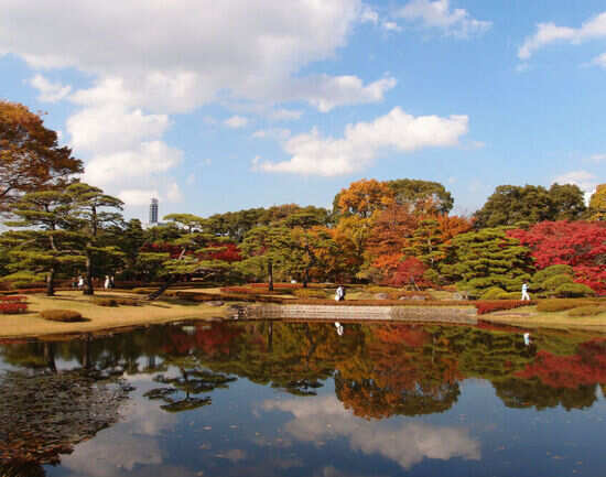 Admire the Imperial Palace and East Garden