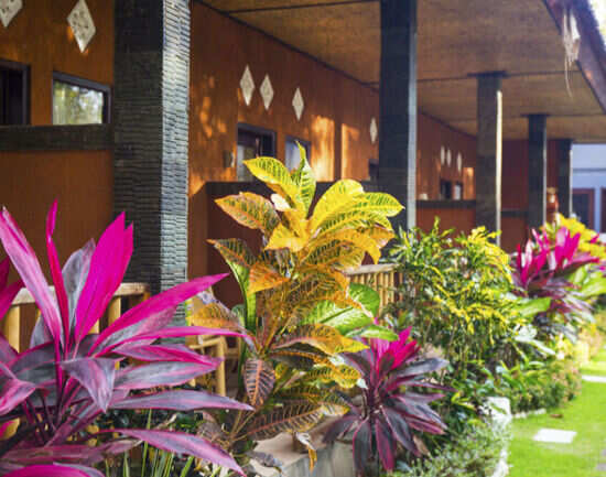 The best of backpacker hotels in Bali