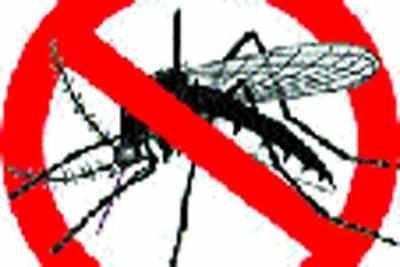 BMC training citizens to tackle mosquito menace in Mumbai